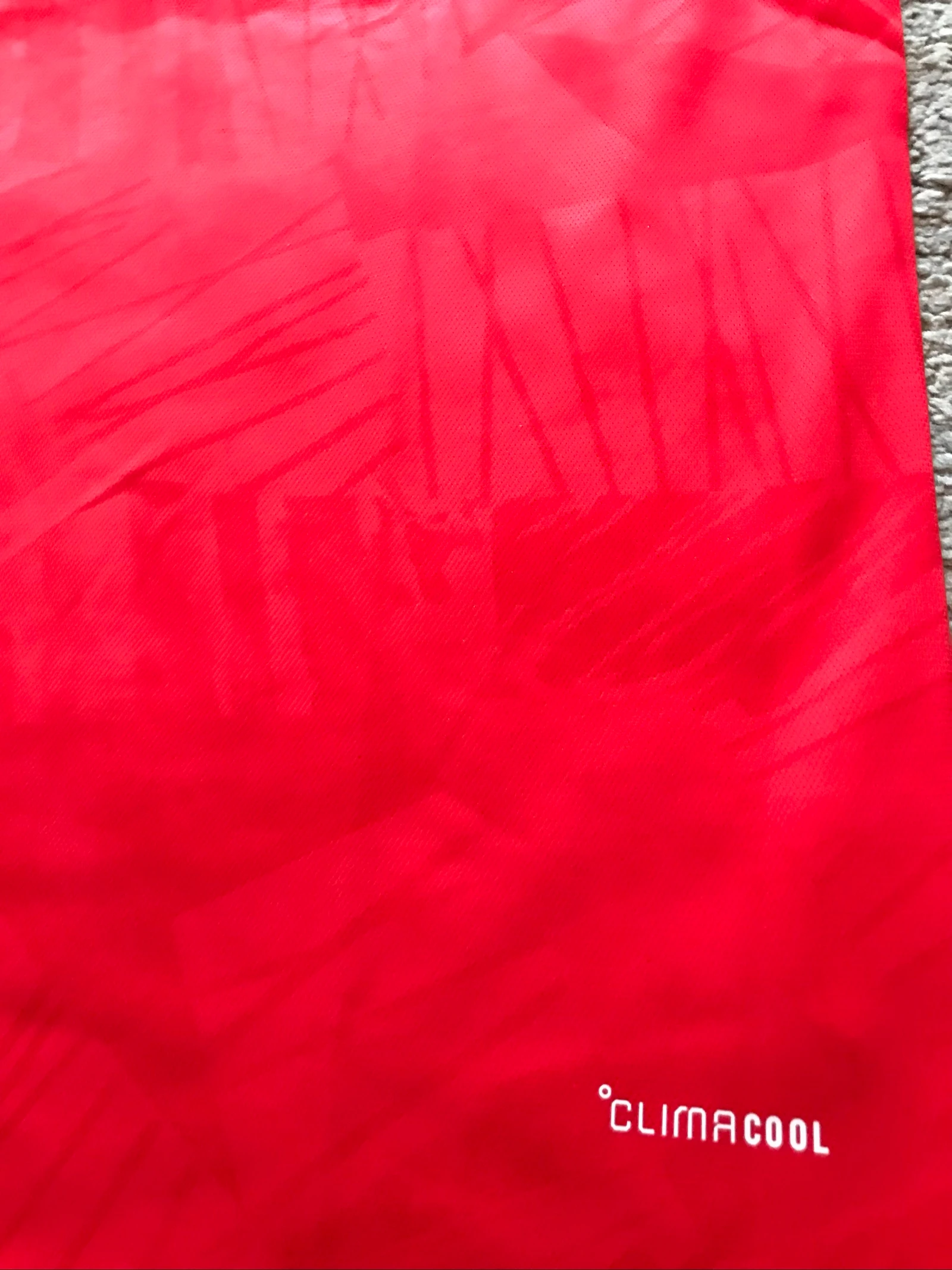 Camiseta Benfica 26-27 – photo 4